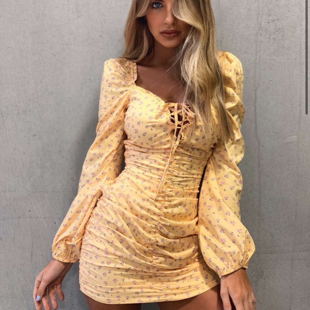 Tiger Mist Penny Dress